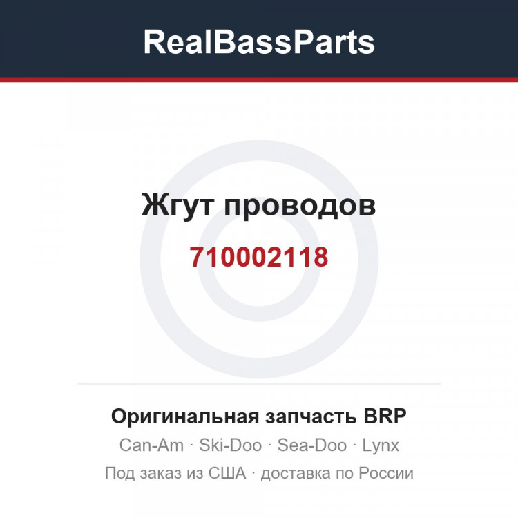 710002118 Жгут проводов