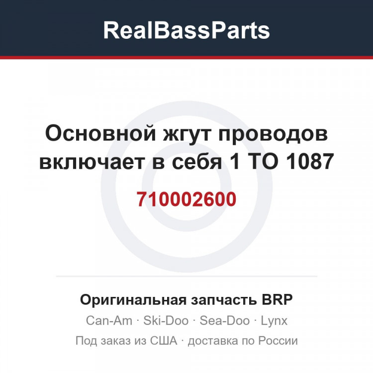 710002600 Основной жгут проводов включает в себя 1 TO 1087