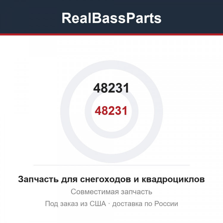 48231