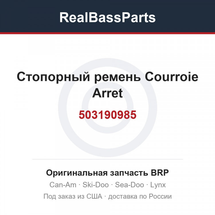 503190985 Стопорный ремень Courroie Arret
