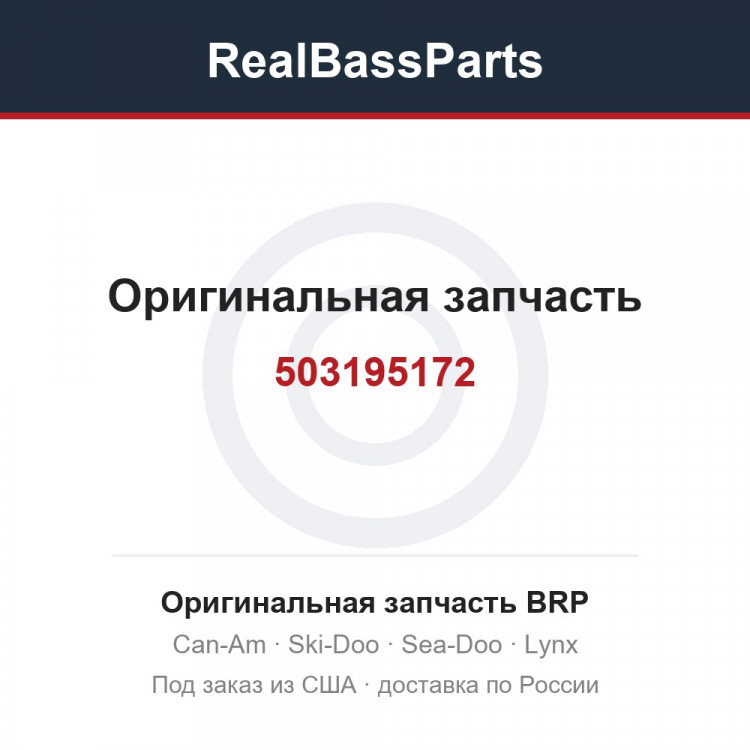 503195172