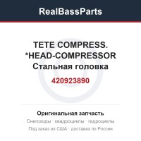 420923890 TETE COMPRESS. *HEAD-COMPRESSOR  Стальная головка компрессора