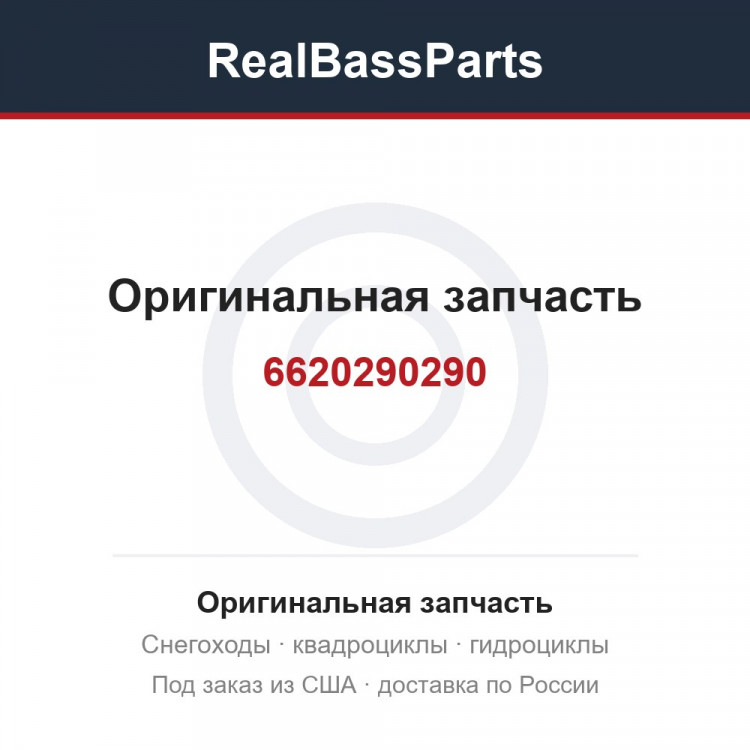 6620290290