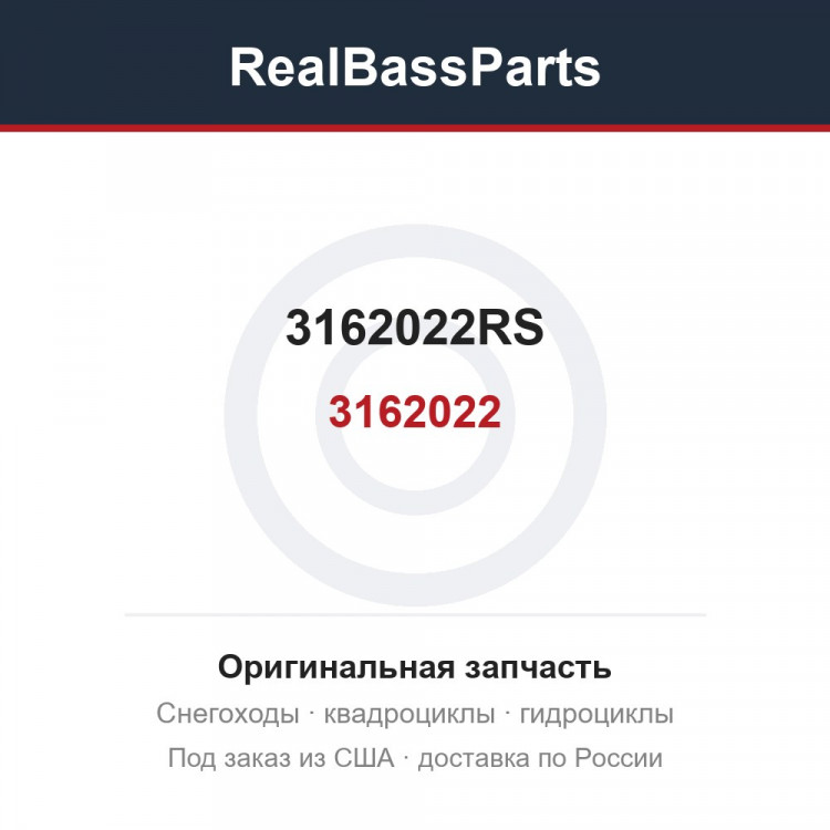 3162022RS