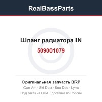 509001079 Шланг радиатора IN