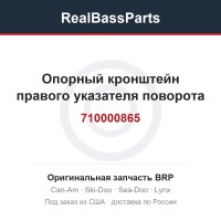 710000865 Опорный кронштейн правого указателя поворота