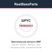 705502831 ШРУС