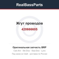 420666605 Жгут проводов