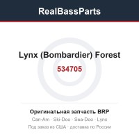 534705 Lynx (Bombardier) Forest