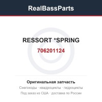 706201124 RESSORT        *SPRING