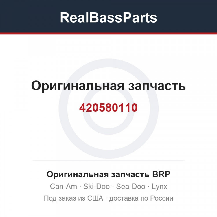 420580110