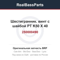 250000490 Шестигранник. винт с шайбой PT K50 X 40