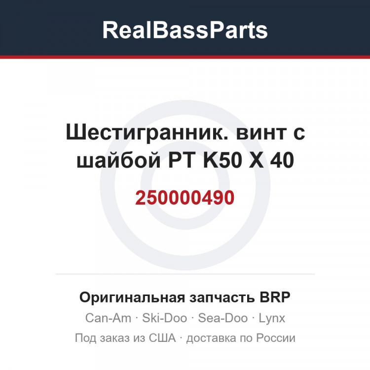 250000490 Шестигранник. винт с шайбой PT K50 X 40