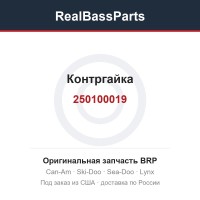 250100019 Контргайка
