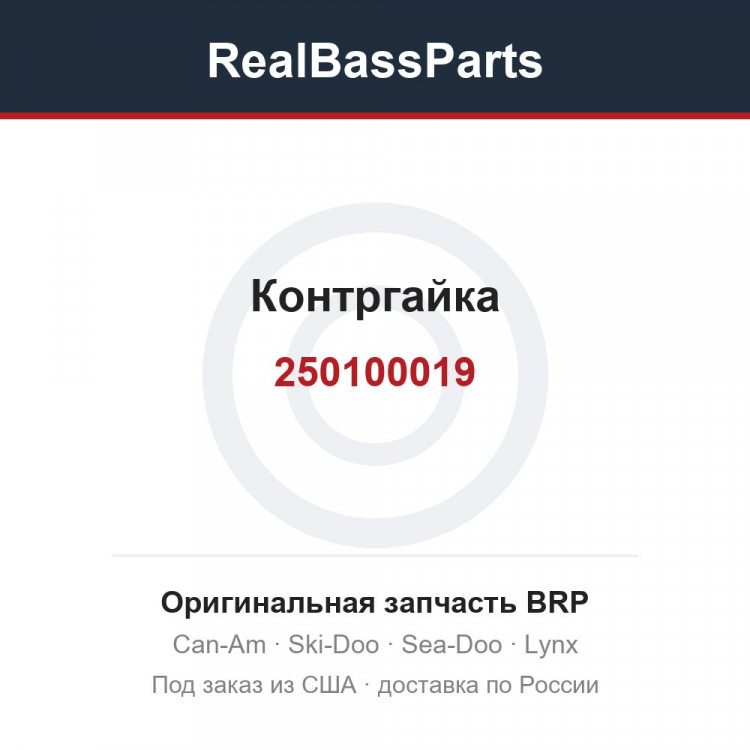 250100019 Контргайка