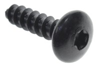 250000297 TORX-SCREW TRUSS HEAD PT.K50 X 20  болт