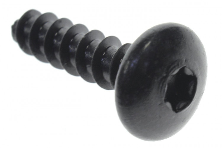 250000297 TORX-SCREW TRUSS HEAD PT.K50 X 20  болт