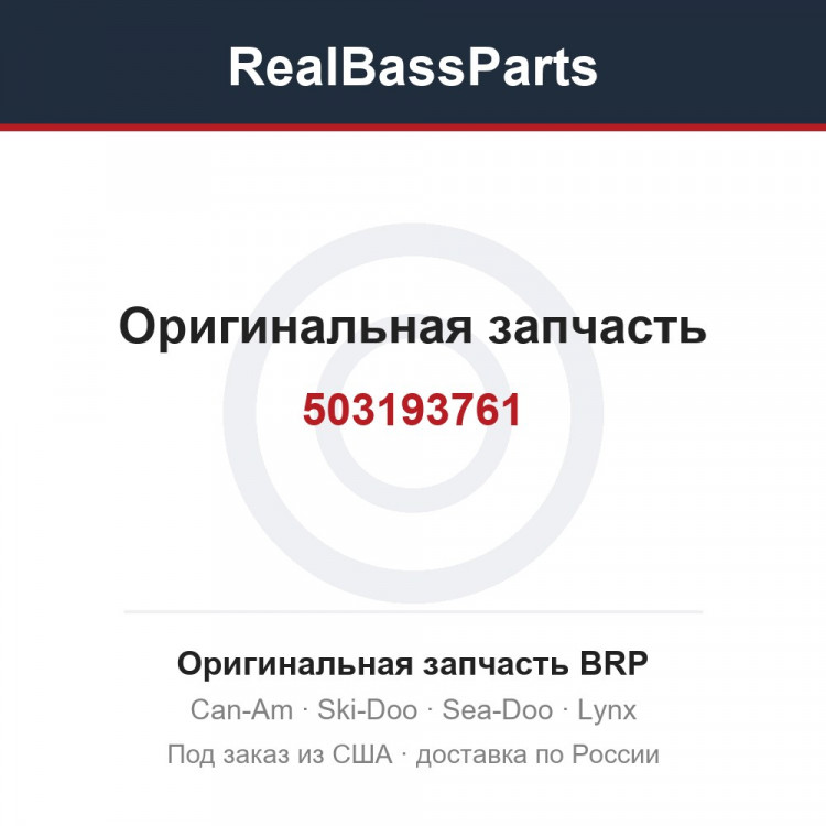 503193761
