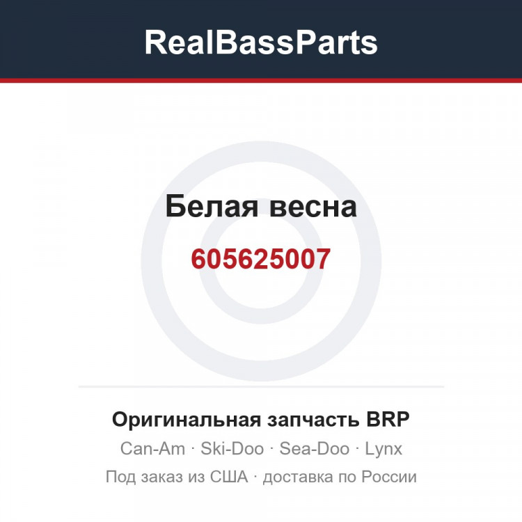 605625007 Белая весна