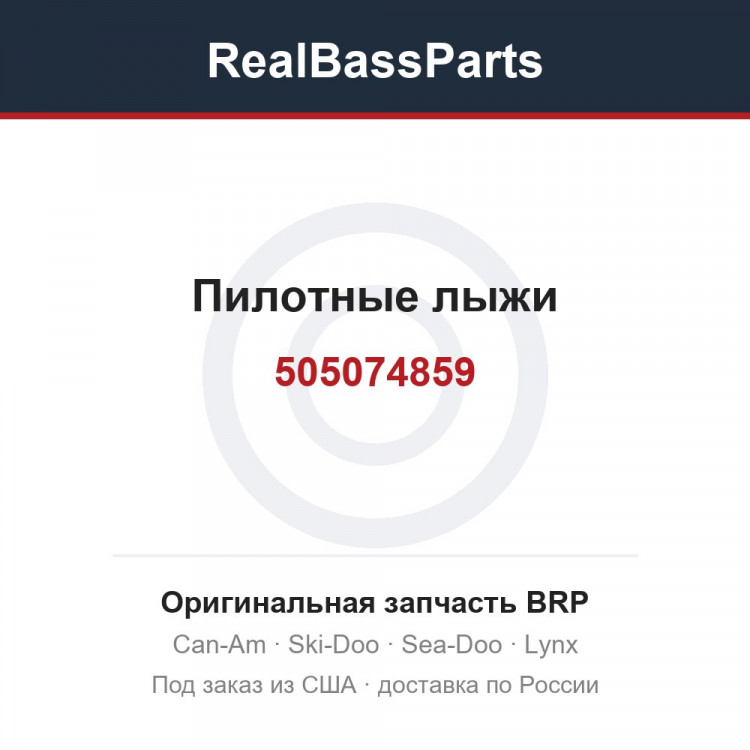 505074859 Пилотные лыжи