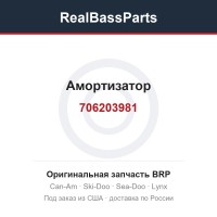706203981 Амортизатор