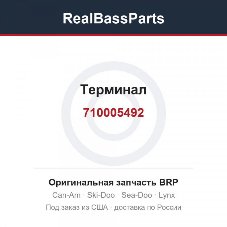 710005492 Терминал