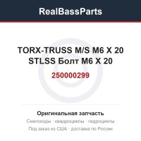 250000299 TORX-TRUSS M/S M6 X 20 STLSS  Болт M6 X 20