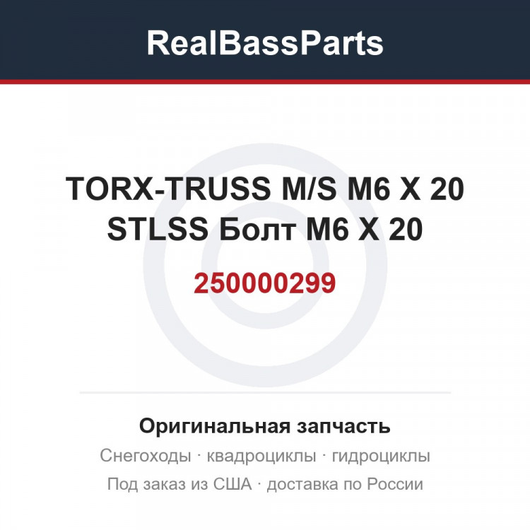 250000299 TORX-TRUSS M/S M6 X 20 STLSS  Болт M6 X 20