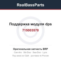 715003570 Поддержка модуля dps