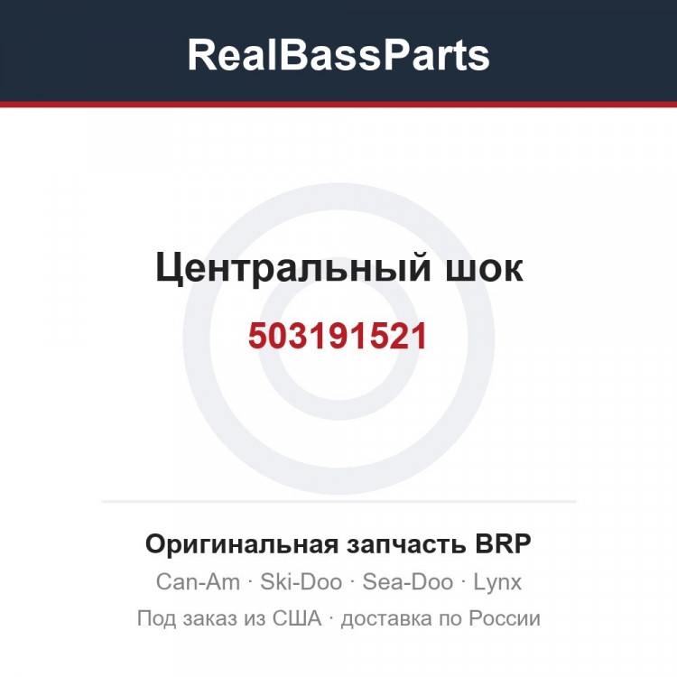 503191521 Центральный шок