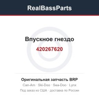 420267620 Впускное гнездо