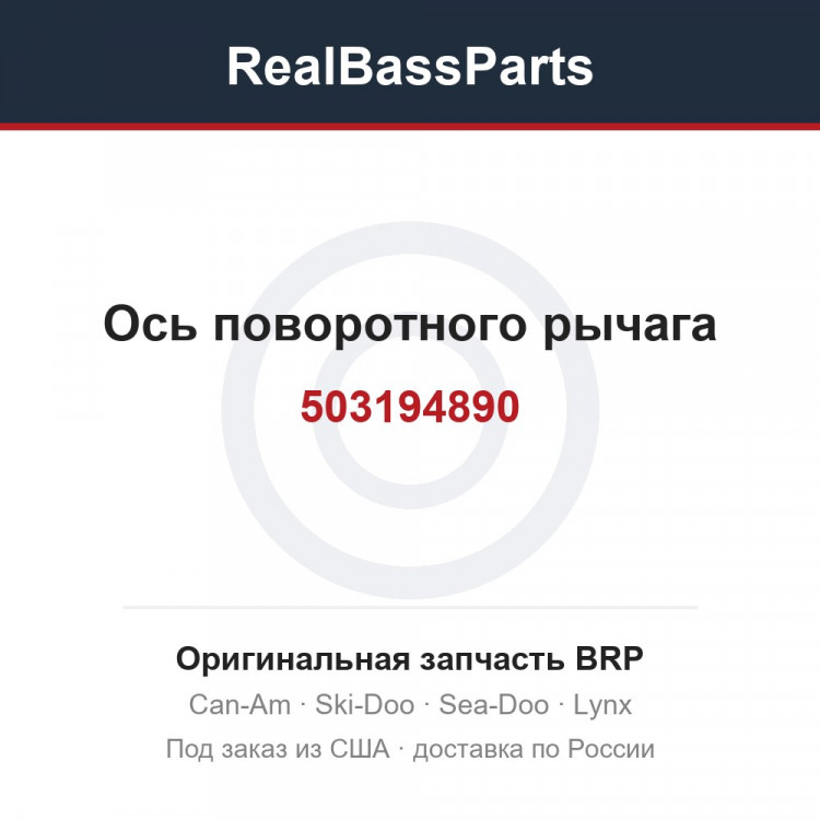 503194890 Ось поворотного рычага