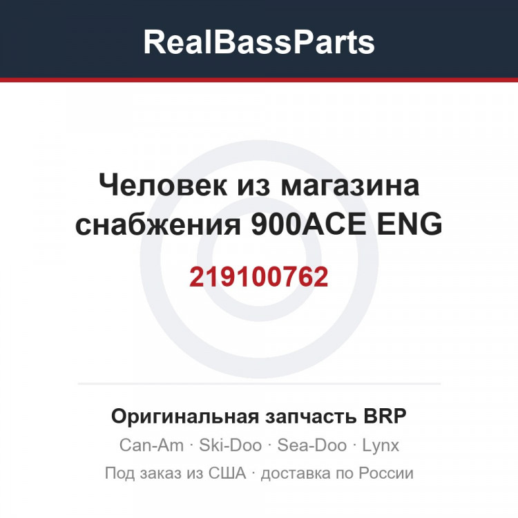219100762 Человек из магазина снабжения 900ACE ENG