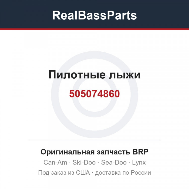 505074860 Пилотные лыжи