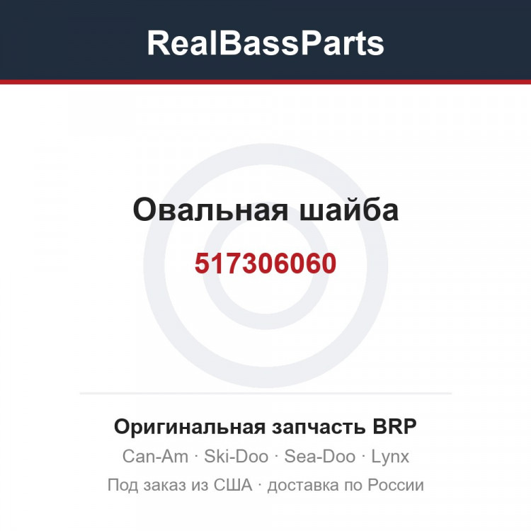 517306060 Овальная шайба
