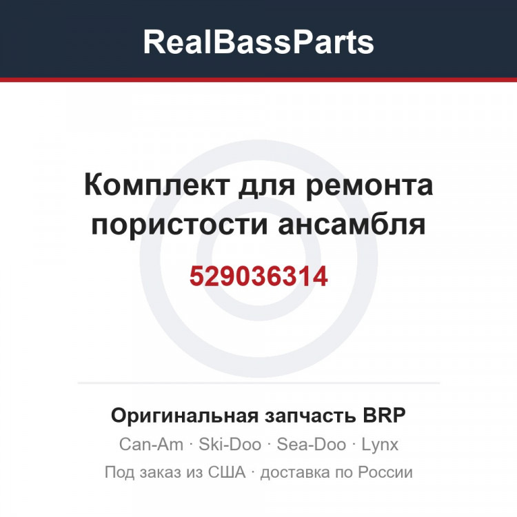 529036314 Комплект для ремонта пористости ансамбля
