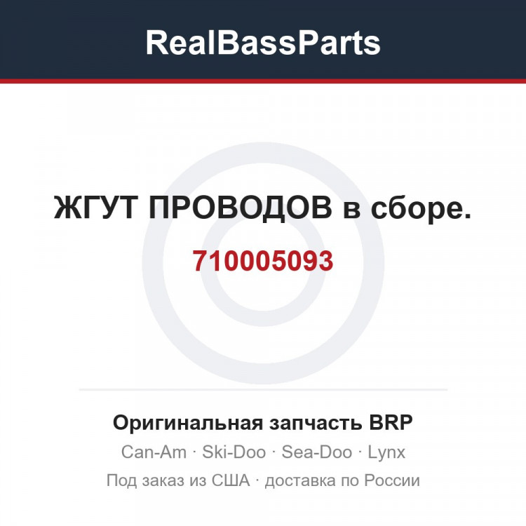 710005093 ЖГУТ ПРОВОДОВ в сборе.