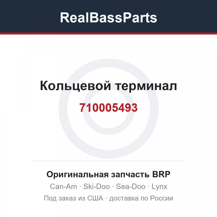710005493 Кольцевой терминал