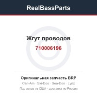 710006196 Жгут проводов