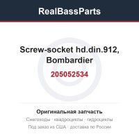 205052534 Screw-socket hd.din.912, Bombardier