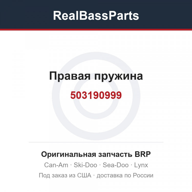 503190999 Правая пружина