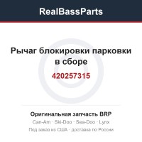 420257315 Рычаг блокировки парковки в сборе
