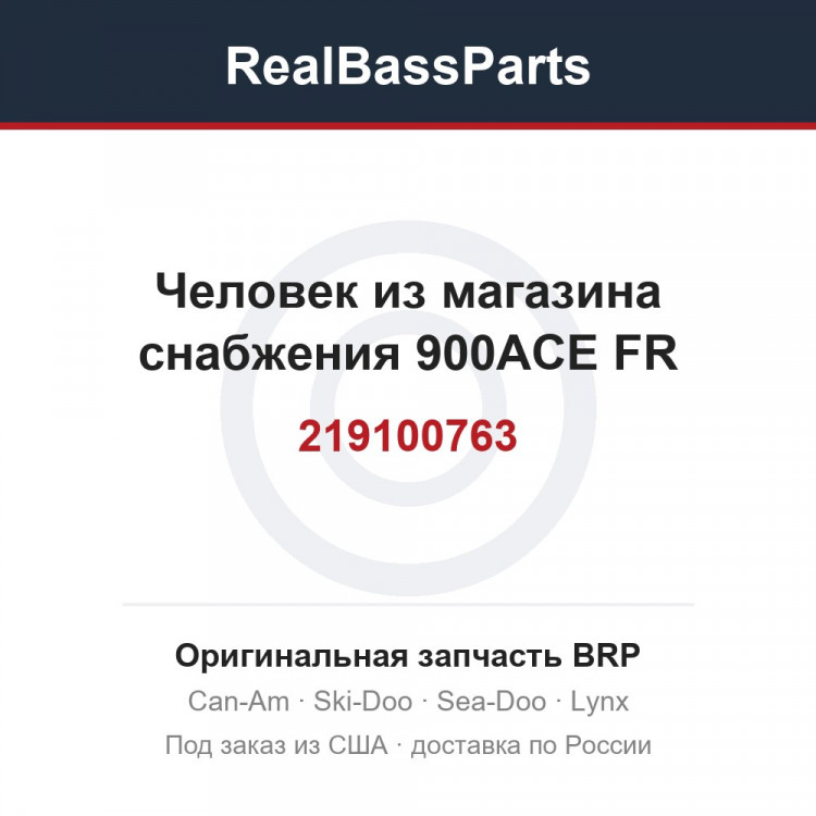 219100763 Человек из магазина снабжения 900ACE FR