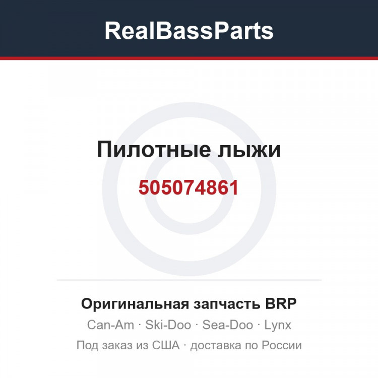505074861 Пилотные лыжи