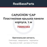 705002353 CAPUCHON       *CAP  Пластиковая крышка панели корпуса, т.м