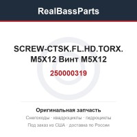 250000319 SCREW-CTSK.FL.HD.TORX. M5X12  Винт M5X12