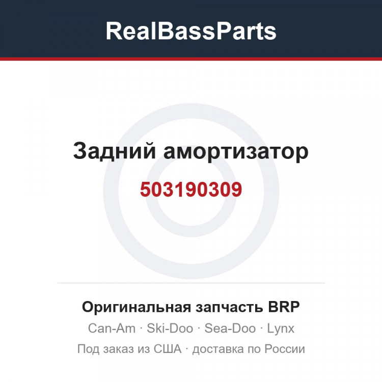 503190309 Задний амортизатор