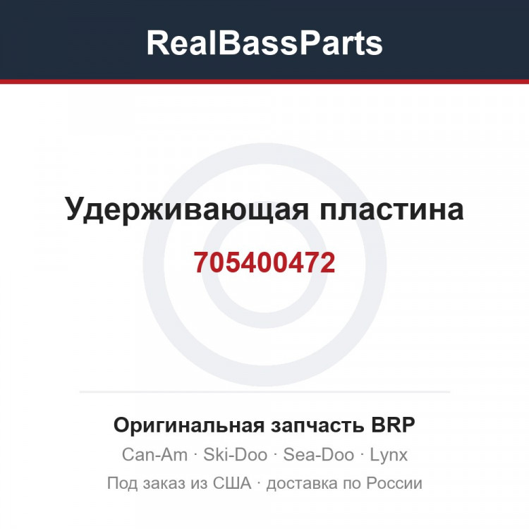 705400472 Удерживающая пластина