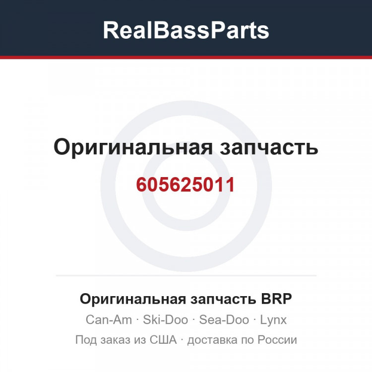 605625011