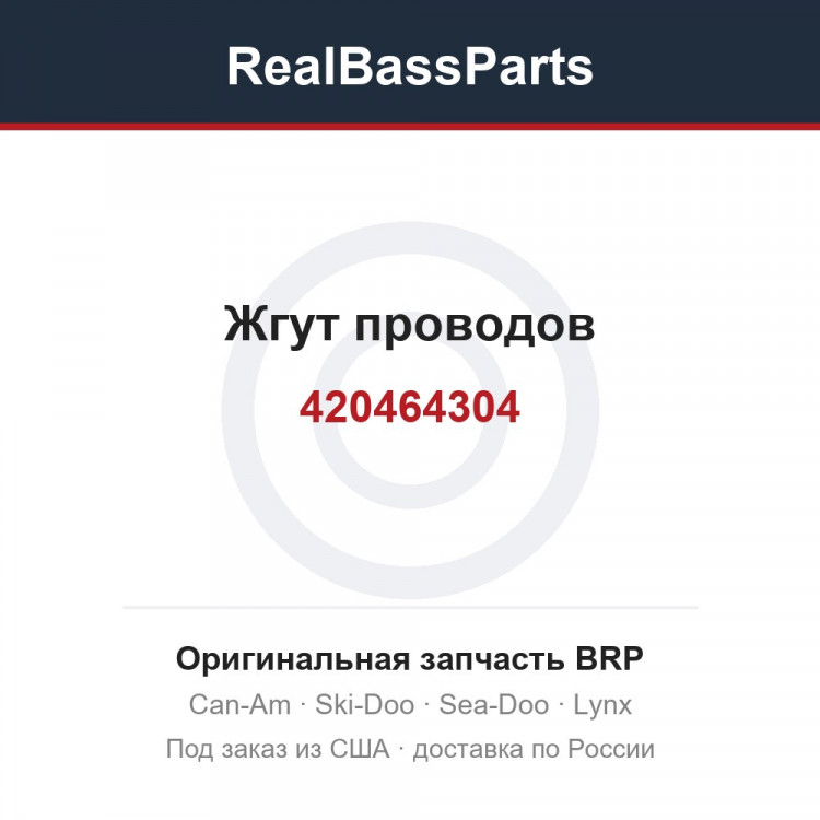 420464304 Жгут проводов